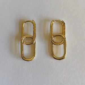 Double Link Earrings